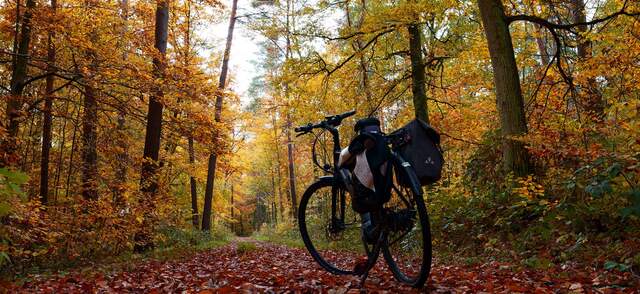 Elektrische fiets dames
