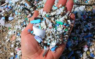 Close up of microplastics found on beach.